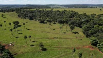 Foto 4 de 6: Area Rural em leilão em Costa Rica - MS — 50% DA PARTE IDEAL DO EXECUTADO SOB IMÓVEL DA MATRÍCULA 21.296 DO REGISTRO DE IMÓVEIS DE COSTA RICA/MS