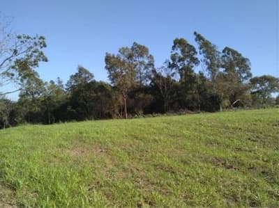 Foto 4 de 9: Area Rural em leilão em Nova Esperança - PR — IMÓVEL RURAL COM ÁREA TOTAL DE 30.548,00 m2 EM NOVA ESPERANÇA-PR