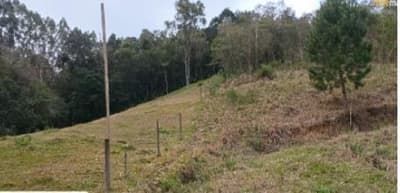 Foto 8 de 14: Terreno em leilão em Aurora - SC — TERRENO RURAL COM ÁREA DE 11,516 HA, EM AURORA-SC