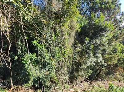 Foto 1 de 4: Terreno em leilão em Piraquara - PR, bairro Vila Susi — Imóvel urbano (lote de terreno de esquina, com 1.072,50m², sem benfeitorias), na Vila Susi, em Piraquara/PR