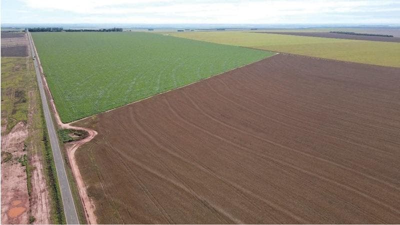 Foto 1 de 30: Area Rural em leilão em Paraíso Das Águas - MS — IMÓVEL RURAL | 400 HA (FRAÇÃO IDEAL) - FAZ. LOTE BAÚS PERDIDO I SECÇÃO B | PLANTIO PARA SOJA E MILHO | PARAÍSO DAS ÁGUAS/MS