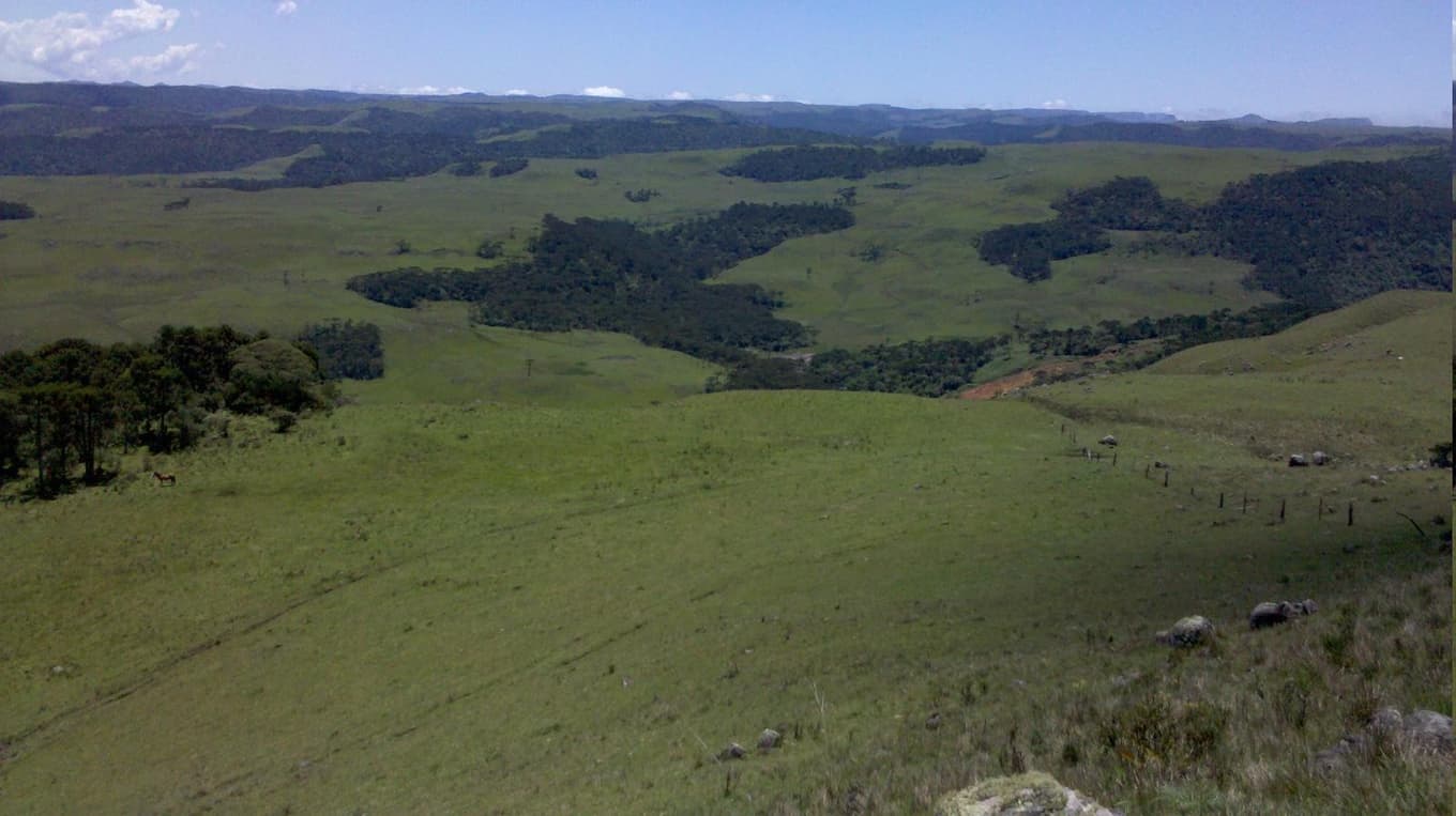 Foto 1 de 9: Area Rural em leilão em São José Dos Ausentes - RS — GLEBA DE TERRAS DE 20 ha LOCALIZADO EM SÃO JOSÉ DOS AUSENTES /RS - SEM BENFEITORIAS - MATRICULA 9.797