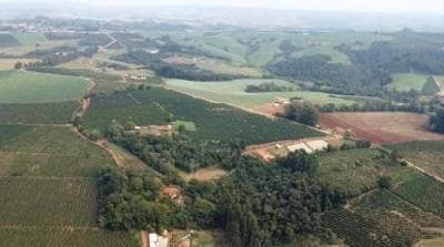 Area Rural em leilão em Tomazina - PR — IMÓVEL RURAL COM ÁREA TOTAL DE 21.323m² - EM PINHALÃO-PR
