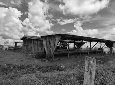 Foto 4 de 21: Terreno em leilão em Pimenta Bueno - RO — Fração ideal de 1,1% lotes de terras rural n. 82 e 92 com área total de 3.676,0340ha, Pimenta Bueno/RO