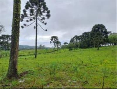 Foto 15 de 24: Area Rural em leilão em Correia Pinto - SC — IMÓVEL RURAL COM ÁREA TOTAL DE 122.223m² - CORREIA PINTO/SC