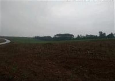 Foto 7 de 10: Area Rural em leilão em Bom Sucesso - PR — IMÓVEL RURAL COM ÁREA DE 7, 3702 Ha EM ZONA RURAL DE BOM SUCESSO-PR