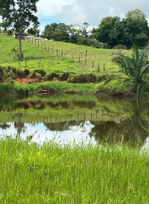 Foto 2 de 5: Area Rural em leilão em Alta Floresta D'oeste - RO — IMÓVEL RURAL| A.T. 12,10 HA SÍTIO STO. ANTÔNIO SETOR RIO BRANCO | ALTA FLORESTA DOESTE/RO