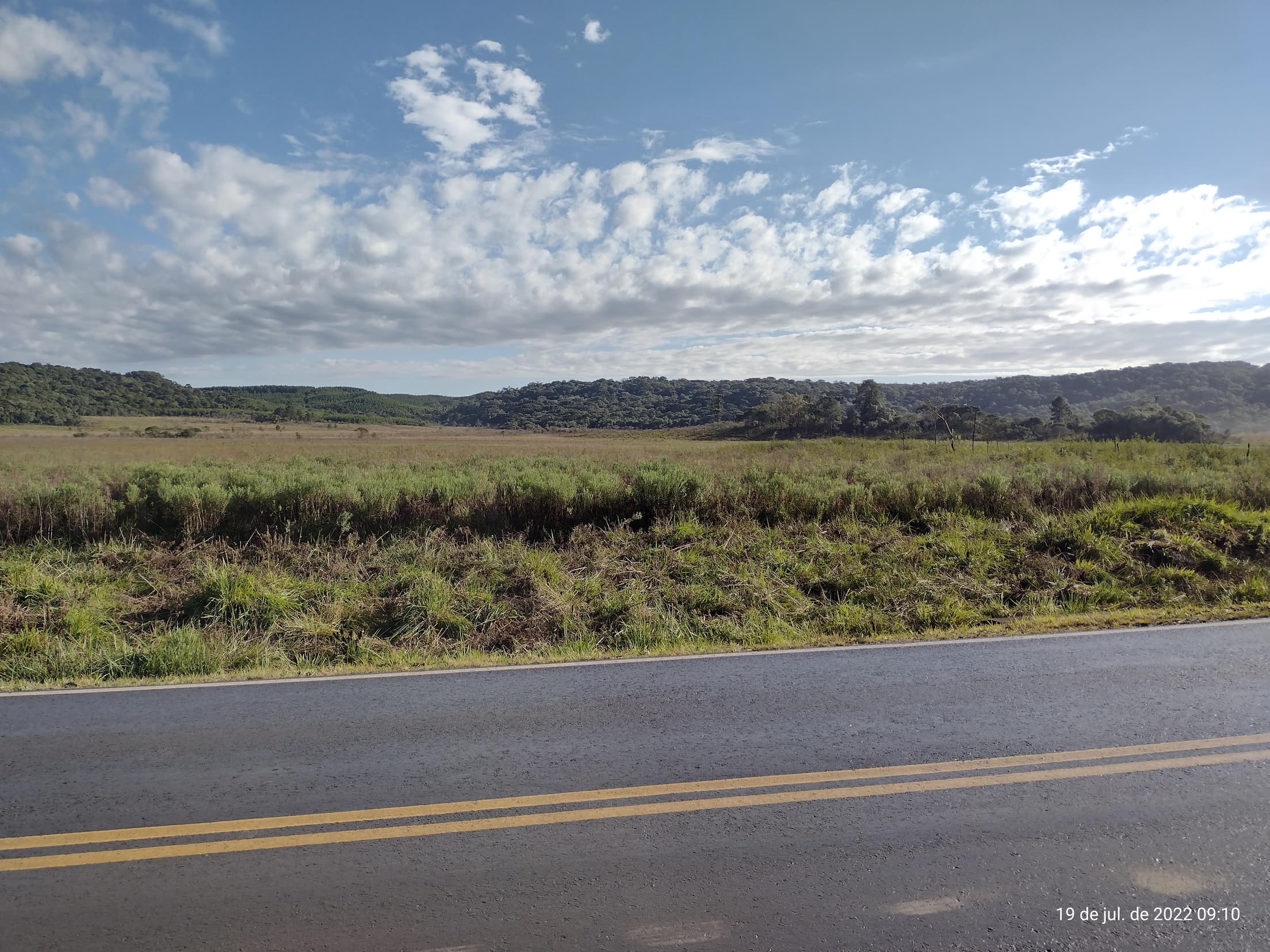 Foto 6 de 50: Terreno em leilão em Irati - PR — Terreno rural com área de 74.282,70m², Irati/PR