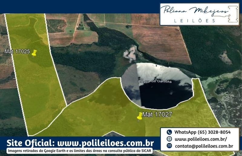 Foto 2 de 3: Area Rural em leilão em Luciara - MT — Área Rural, AT. 439,460ha, Fazenda Gaivota A, Gleba A, Zona Rural em Luciara, comarca de São Felix do Araguaia/MT