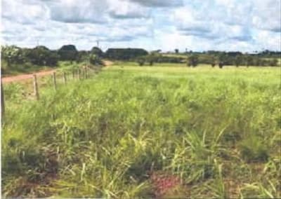 Foto 3 de 7: Area Rural em leilão em Novo Horizonte Do Oeste - RO — IMÓVEL RURAL AT. 85,3452HA, GLEBA BOM PRINCÍPIO EM NOVO HORIZONTE D'OESTE-RO