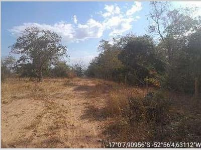 Foto 1 de 21: Area Rural em leilão em Mineiros - GO — IMÓVEL RURAL | A.T. 190,9953 HA | A.C 675 M² | FAZENDA SALTO| MINEIROS/GO