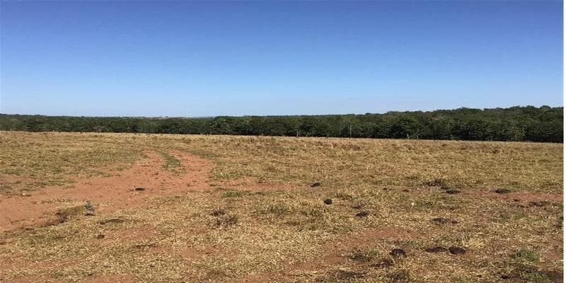 Foto 11 de 11: Area Rural em leilão em Poxoréu - MT — IMÓVEL RURAL | 54,00 HA PECUÁRIA | ESTÂNCIA 2 IRMÃOS, POXORÉU/MT