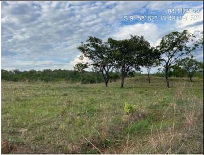 Foto 7 de 10: Area Rural em leilão em Monte Santo Do Tocantins - TO — IMÓVEL RURAL, FAZENDA FARTURA II, 140,9088HA, MONTE SANTO 1 EM MONTE SANTO DO TOCANTINS/TO - EXPLORAÇÃO DE PECUÁRIA
