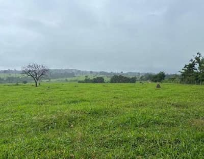 Foto 2 de 7: Area Rural em leilão em Nova Monte Verde - MT — IMÓVEL RURAL | A.T. 52,2136HA - SÍTIO SÃO ROQUE | NOVA MONTE VERDE/MT