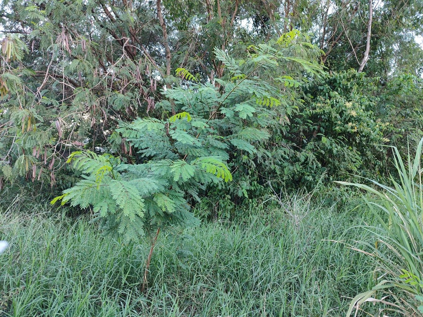 Terreno em leilão em Foz Do Iguaçu - PR, bairro Jardim Vale do Sol — Terreno urbano de 1.016,84 m², sem benfeitorias, Jardim Vale do Sol, Foz do Iguaçu/PR