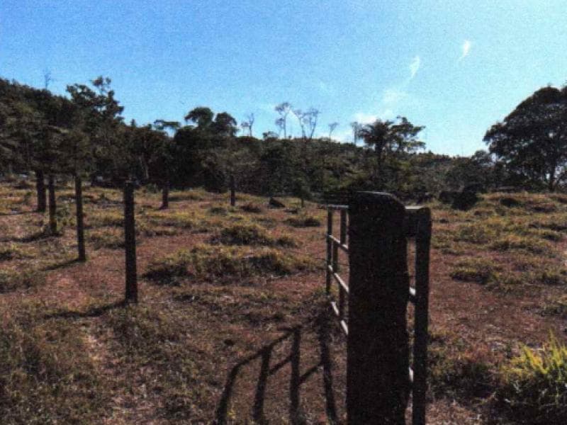 Foto 6 de 6: Area Rural em leilão em Ministro Andreazza - RO — Fazenda, 33.2 ha, Ministro Andreazza / RO