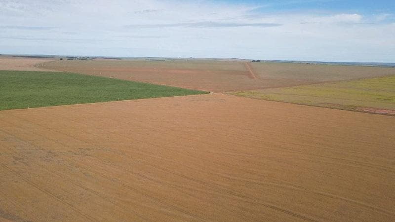 Foto 19 de 30: Area Rural em leilão em Paraíso Das Águas - MS — IMÓVEL RURAL | 400 HA (FRAÇÃO IDEAL) - FAZ. LOTE BAÚS PERDIDO I SECÇÃO B | PLANTIO PARA SOJA E MILHO | PARAÍSO DAS ÁGUAS/MS