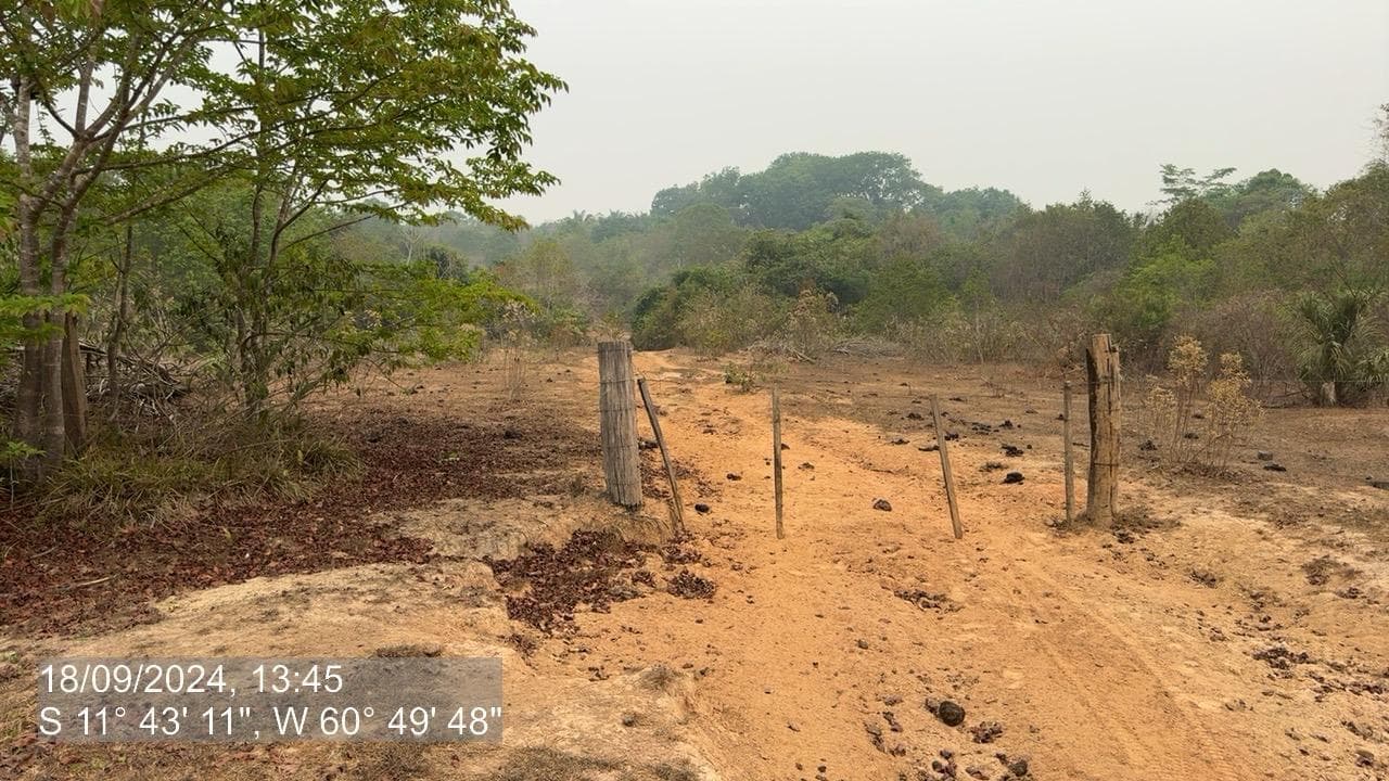 Foto 11 de 20: Area Rural em leilão em Pimenta Bueno - RO — IMÓVEL RURAL | A. T. 63,4635 HA | PIMENTA BUENO/RO - LEILÃO EMPRESARIAL SISTÊMICO SICREDI