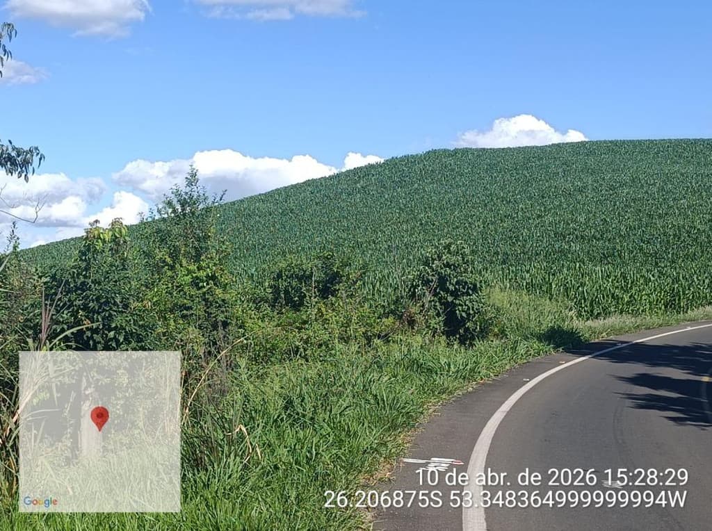 Foto 8 de 8: Area Rural em leilão em Salgado Filho - PR — IMÓVEL RURAL COM ÁREA TOTAL DE 92.407,85 m2- Em SALGADO FILHO/PR