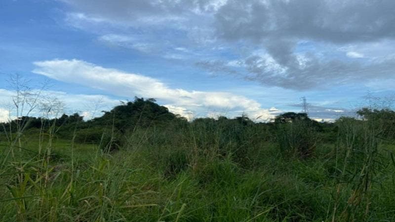 Terreno em leilão em Rolim De Moura - RO, bairro Olímpico — IMÓVEL URBANO | A.T. 5.600 M² - BAIRRO OLÍMPICO | ROLIM DE MOURA/RO - LEILÃO EMPRESARIAL SISTÊMICO SICREDI