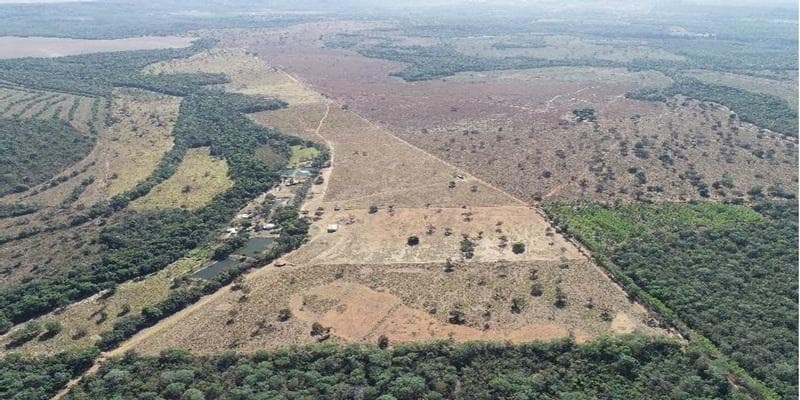 Foto 1 de 11: Area Rural em leilão em Poxoréu - MT — IMÓVEL RURAL | 54,00 HA PECUÁRIA | ESTÂNCIA 2 IRMÃOS, POXORÉU/MT