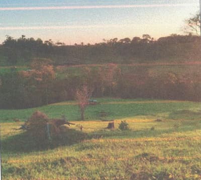 Foto 13 de 13: Area Rural em leilão em Alto Alegre Dos Parecis - RO — IMÓVEL RURAL | A.T 26,44 HA | ALTO ALEGRE DOS PARECIS, COMARCA DE SANTA LUZIA D'OESTE/RO