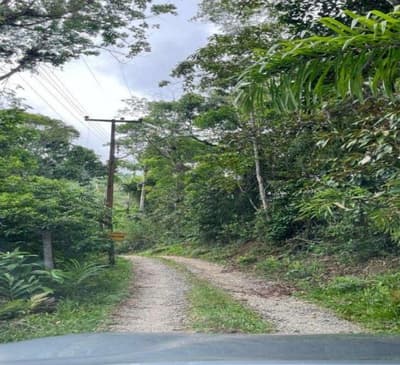 Terreno em leilão em Matinhos - PR — Terreno Urbano, A.T. 577m², CIDADE BALNEÁRIA CAIUBÁ