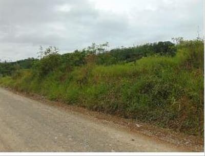Terreno em leilão em Taió - SC — TERRENO RURAL com área total de 5.700 m²