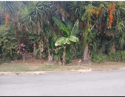 Foto 4 de 5: Terreno em leilão em Cotia - SP — Lote, Ocupado, 2543.4 m2, COTIA / SP