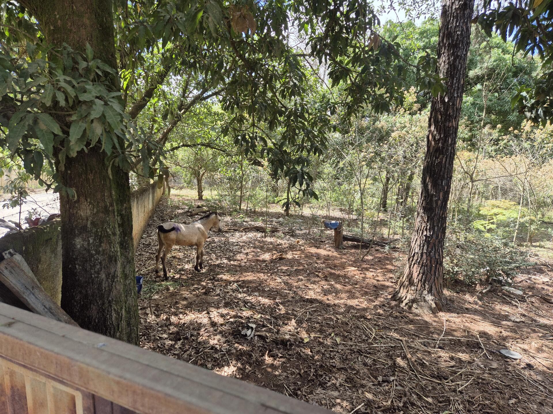 Foto 3 de 46: Terreno em leilão em Araçoiaba Da Serra - SP — Terreno com área de 4.235m² - Araçoiaba da Serra SP