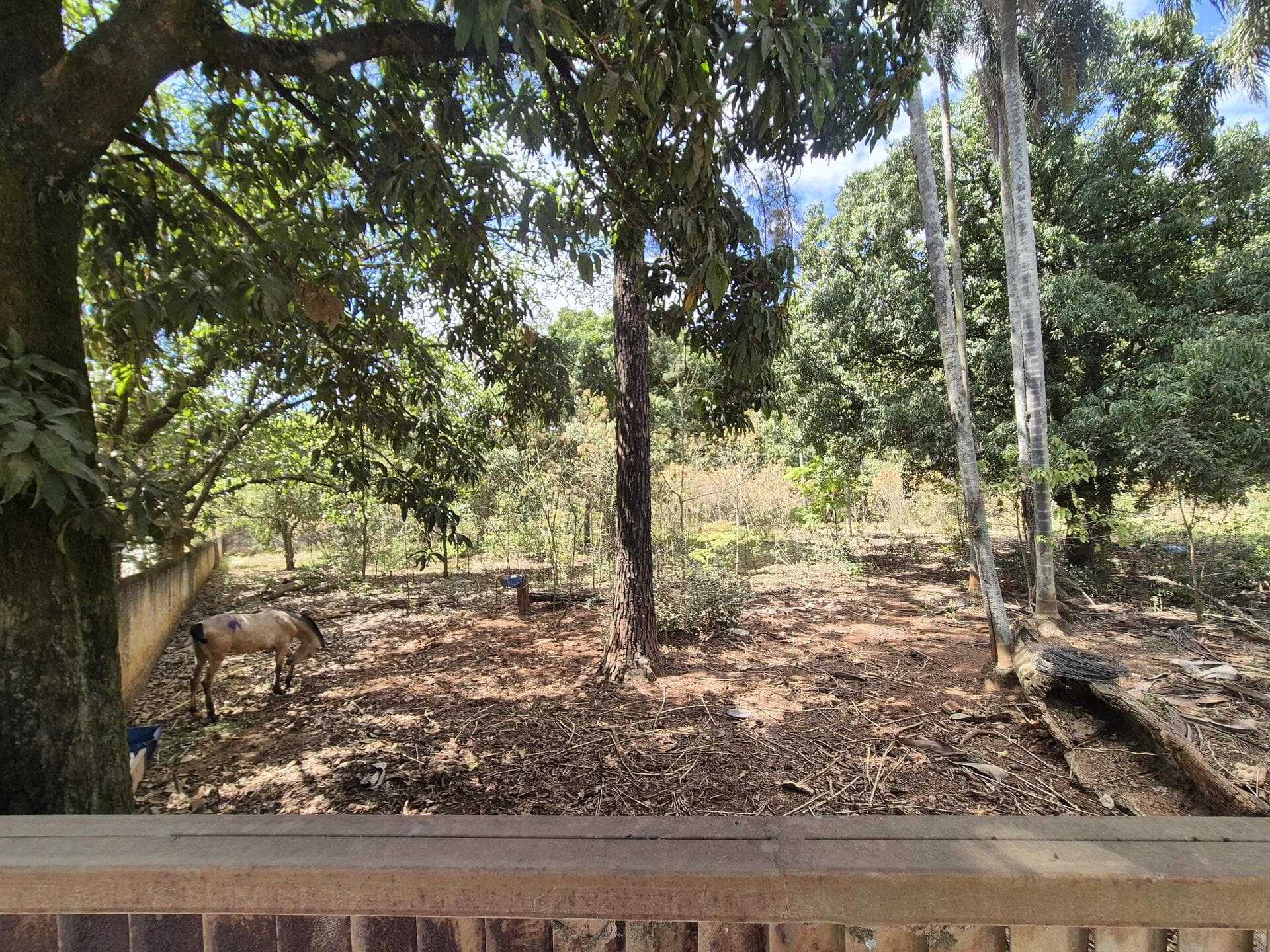 Foto 4 de 46: Terreno em leilão em Araçoiaba Da Serra - SP — Terreno com área de 4.235m² - Araçoiaba da Serra SP
