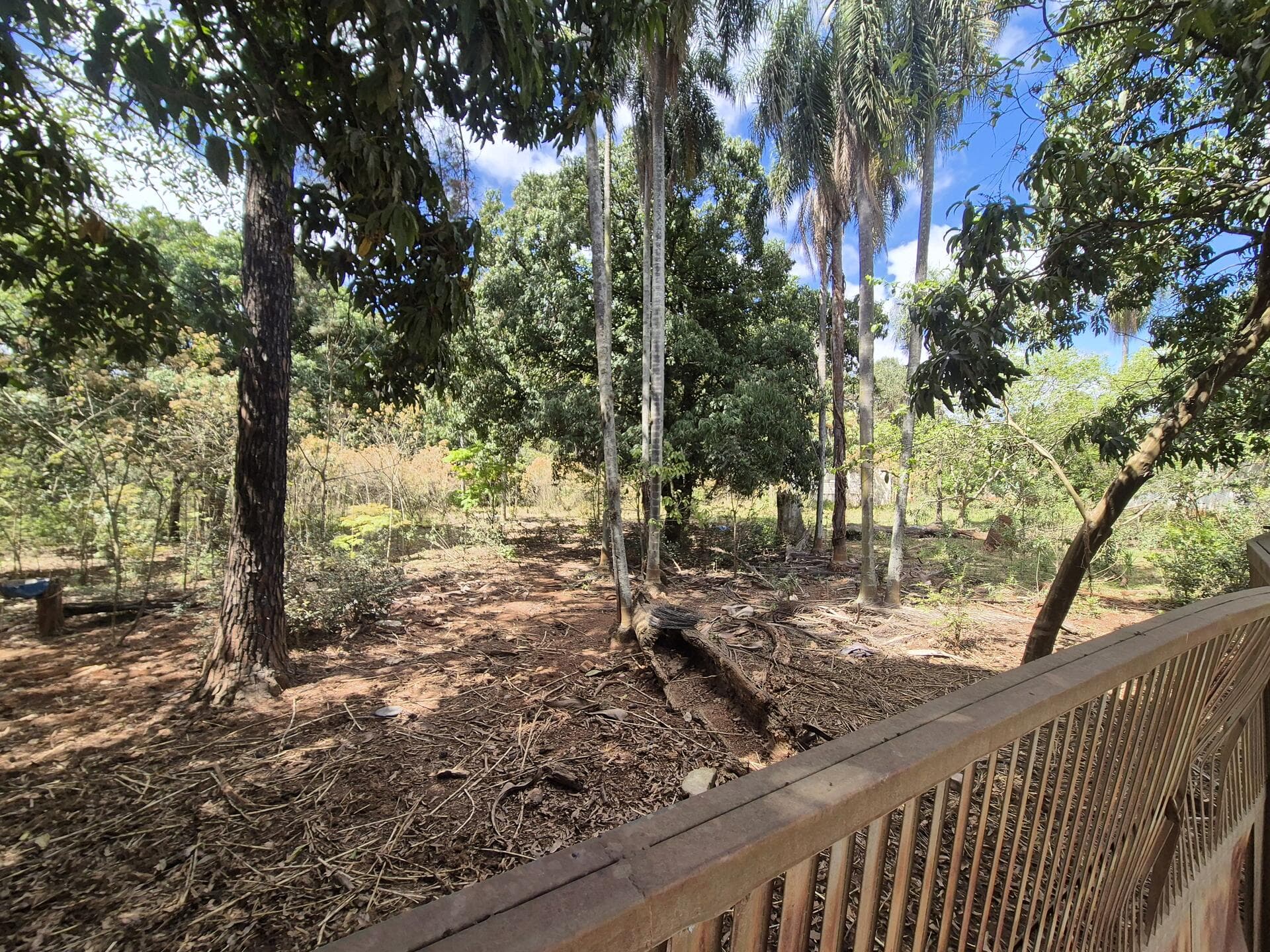 Foto 5 de 46: Terreno em leilão em Araçoiaba Da Serra - SP — Terreno com área de 4.235m² - Araçoiaba da Serra SP