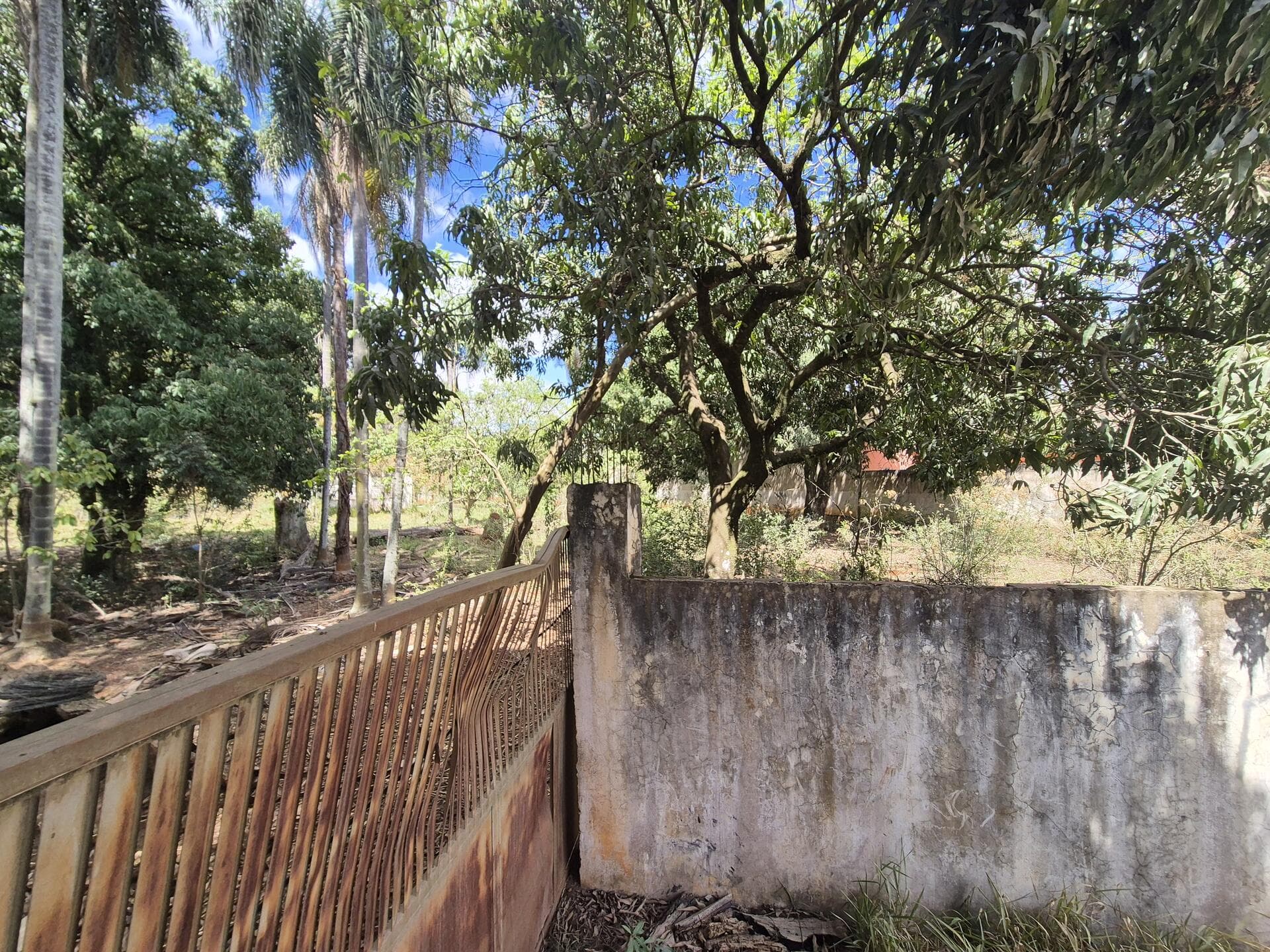 Foto 6 de 46: Terreno em leilão em Araçoiaba Da Serra - SP — Terreno com área de 4.235m² - Araçoiaba da Serra SP