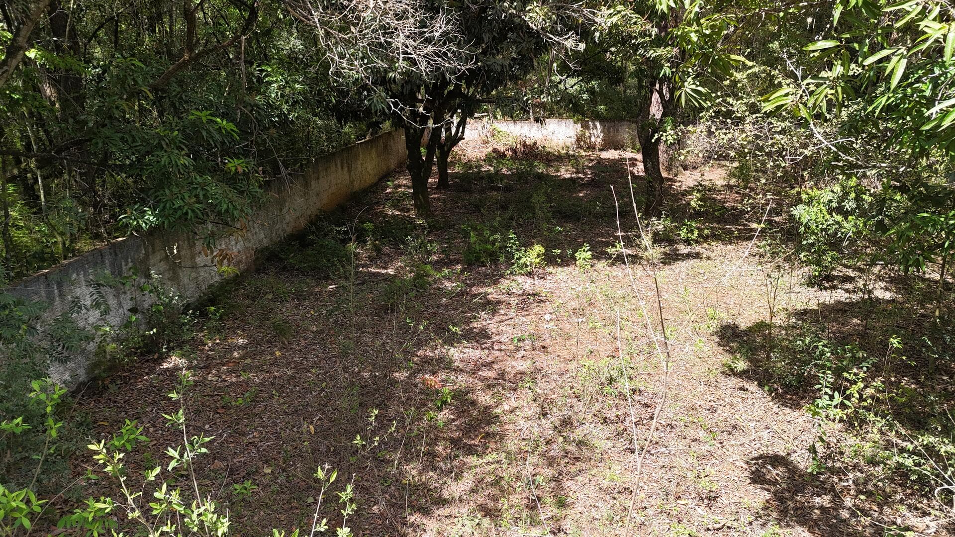 Foto 26 de 46: Terreno em leilão em Araçoiaba Da Serra - SP — Terreno com área de 4.235m² - Araçoiaba da Serra SP