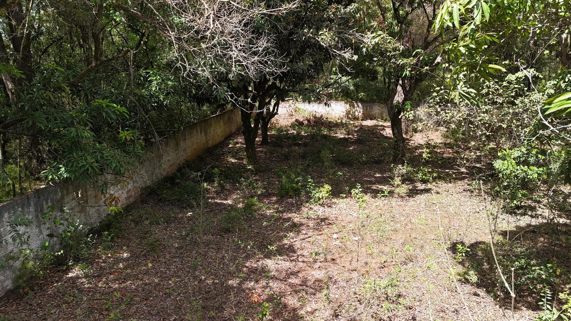 Foto 27 de 46: Terreno em leilão em Araçoiaba Da Serra - SP — Terreno com área de 4.235m² - Araçoiaba da Serra SP