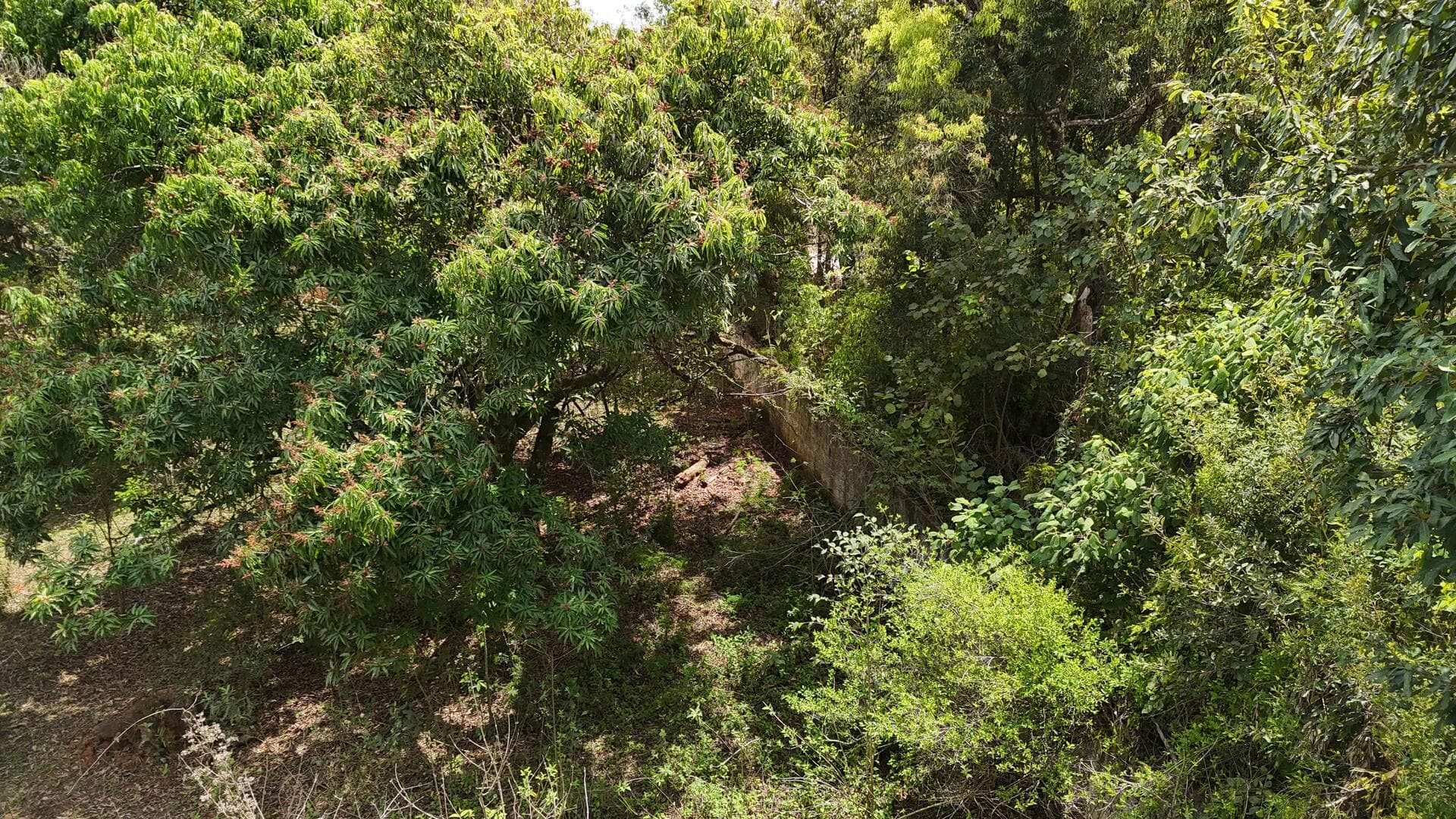 Foto 28 de 46: Terreno em leilão em Araçoiaba Da Serra - SP — Terreno com área de 4.235m² - Araçoiaba da Serra SP