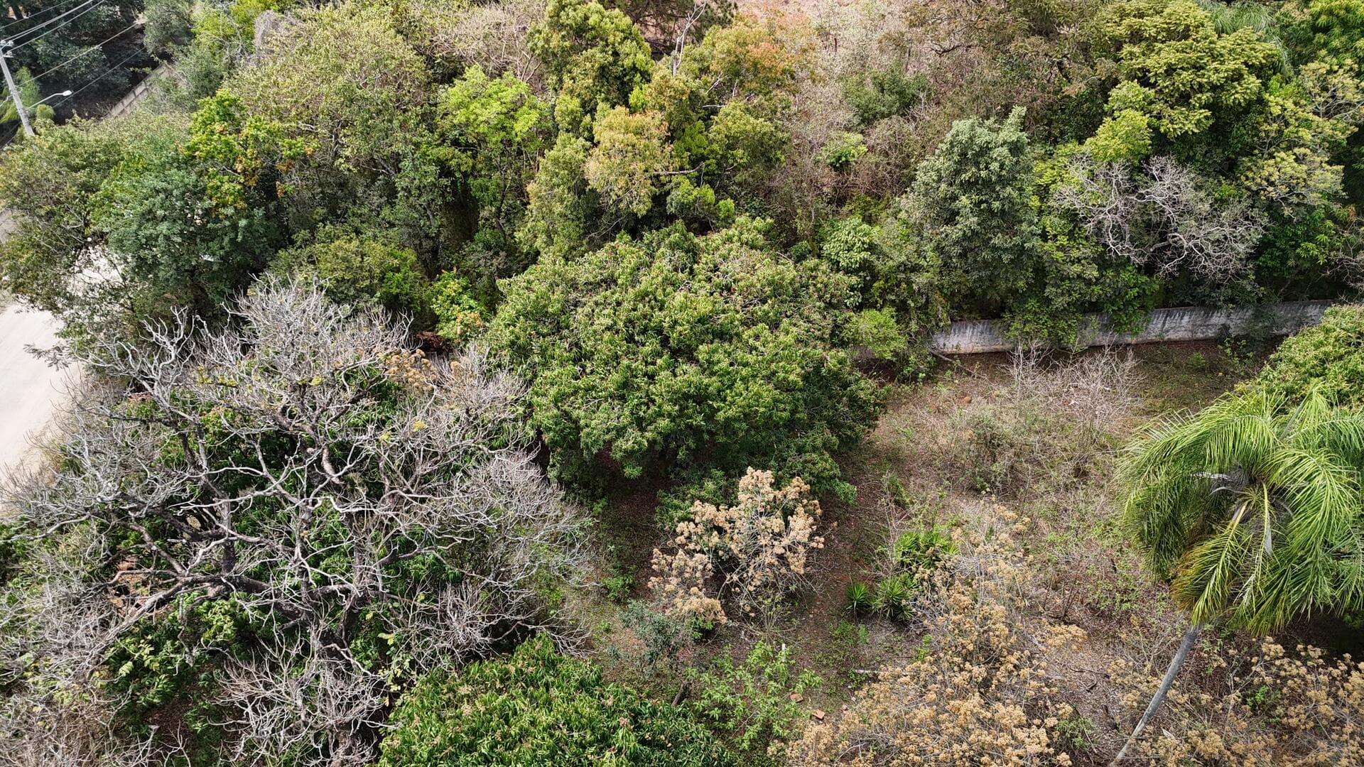 Foto 36 de 46: Terreno em leilão em Araçoiaba Da Serra - SP — Terreno com área de 4.235m² - Araçoiaba da Serra SP