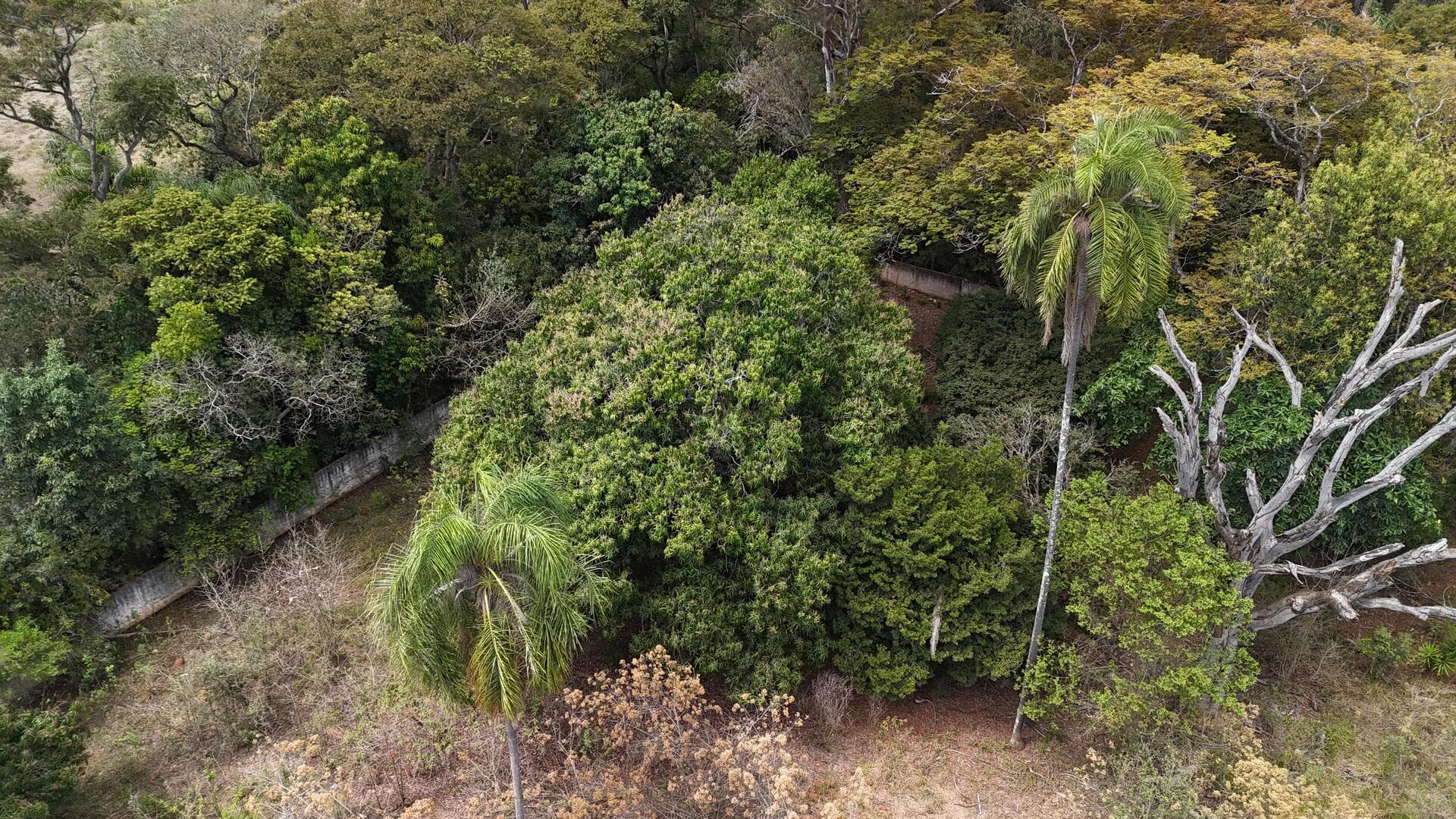 Foto 37 de 46: Terreno em leilão em Araçoiaba Da Serra - SP — Terreno com área de 4.235m² - Araçoiaba da Serra SP