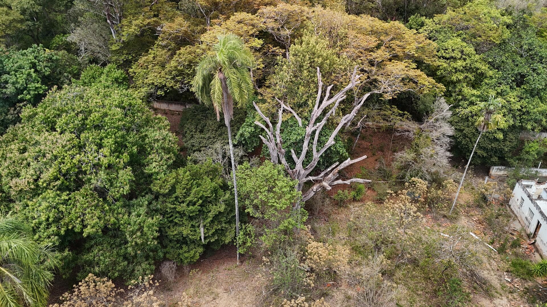 Foto 38 de 46: Terreno em leilão em Araçoiaba Da Serra - SP — Terreno com área de 4.235m² - Araçoiaba da Serra SP