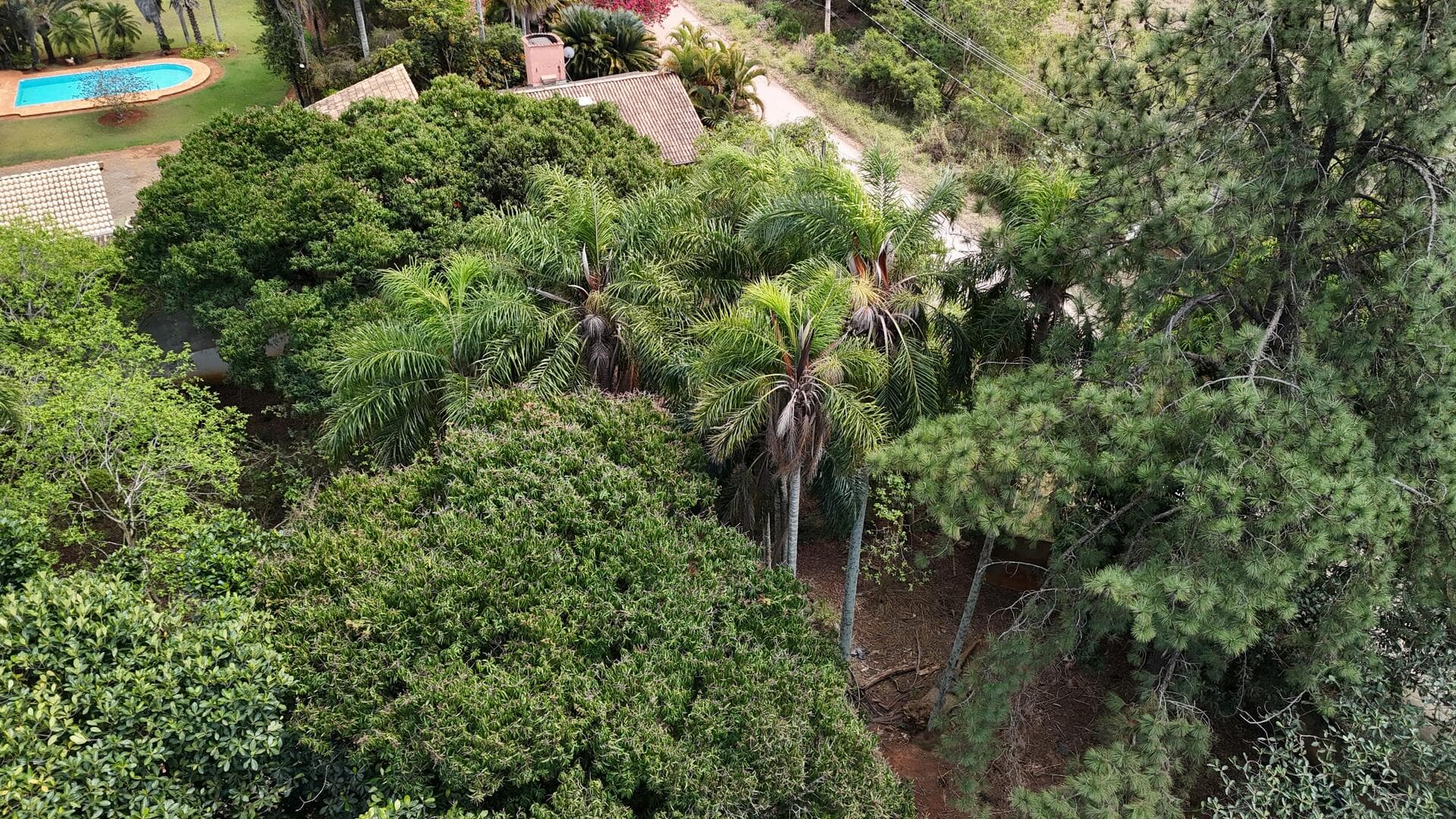 Foto 42 de 46: Terreno em leilão em Araçoiaba Da Serra - SP — Terreno com área de 4.235m² - Araçoiaba da Serra SP