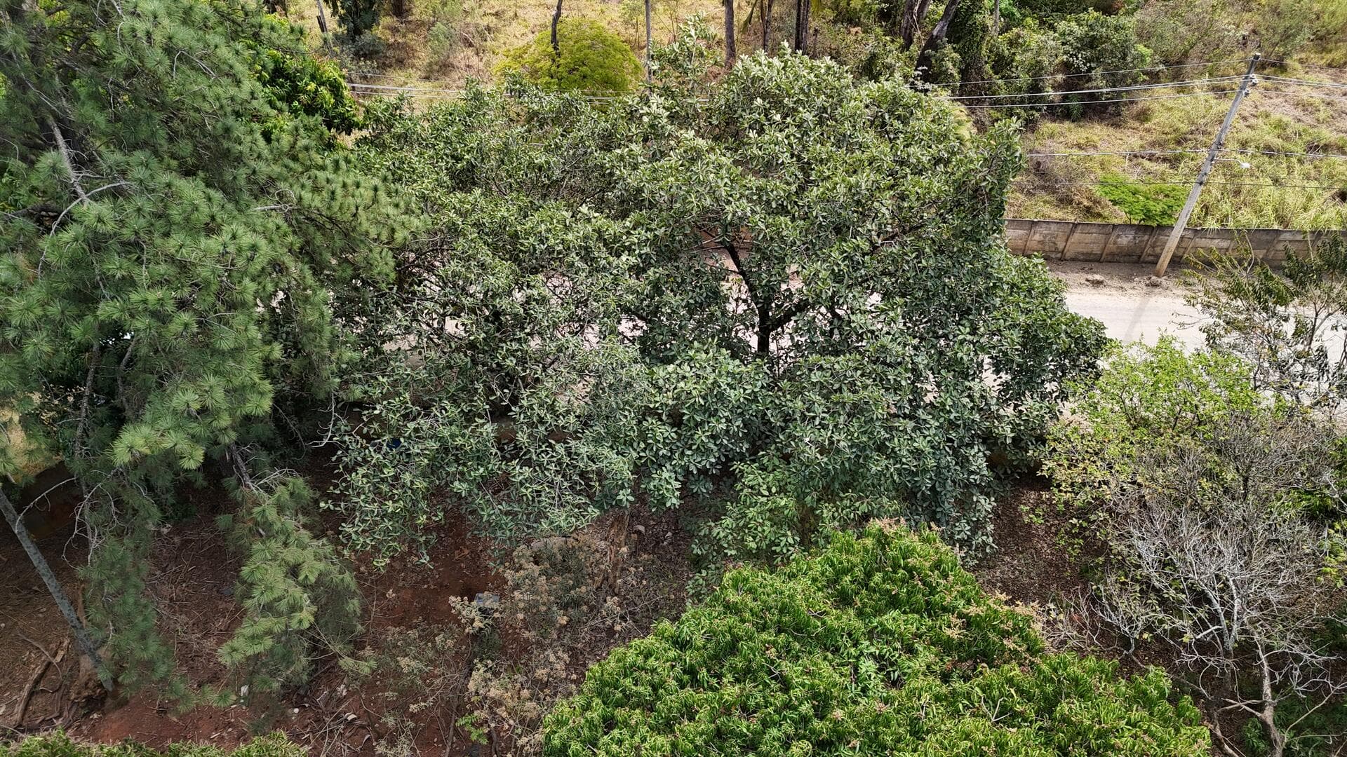 Foto 43 de 46: Terreno em leilão em Araçoiaba Da Serra - SP — Terreno com área de 4.235m² - Araçoiaba da Serra SP
