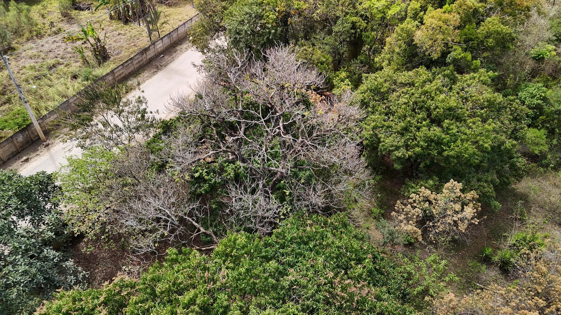 Foto 44 de 46: Terreno em leilão em Araçoiaba Da Serra - SP — Terreno com área de 4.235m² - Araçoiaba da Serra SP