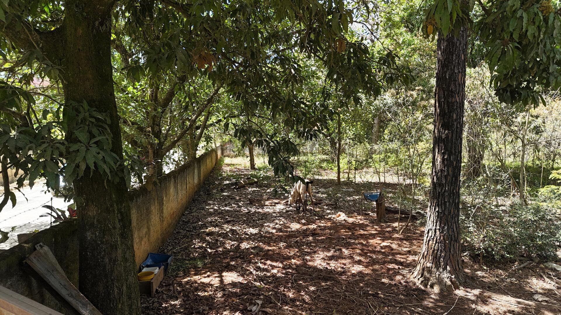 Foto 46 de 46: Terreno em leilão em Araçoiaba Da Serra - SP — Terreno com área de 4.235m² - Araçoiaba da Serra SP