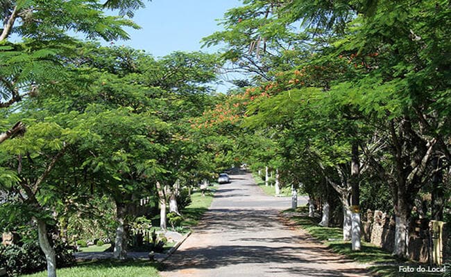 Foto 4 de 24: Terreno em leilão em Cajamar - SP, bairro Serra dos Lagos (Jordanésia) — Lote Nº 05, Quadra Nº 04 Do Loteamento Capital Ville Iv, Cajamar/sp