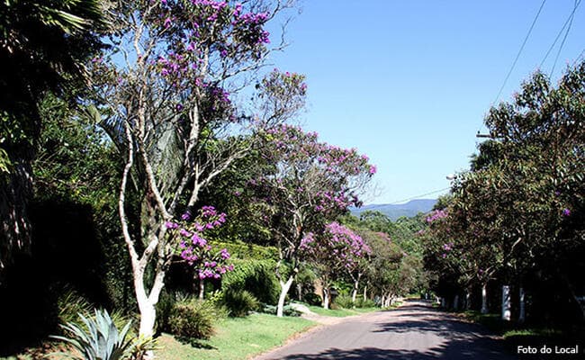 Foto 5 de 24: Terreno em leilão em Cajamar - SP, bairro Serra dos Lagos (Jordanésia) — Lote Nº 05, Quadra Nº 04 Do Loteamento Capital Ville Iv, Cajamar/sp