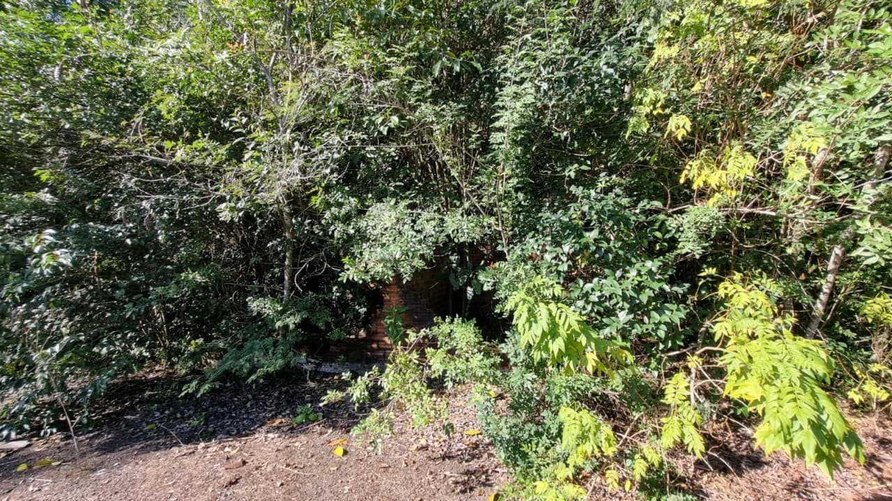 Foto 8 de 38: Terreno em leilão em Novo Hamburgo - RS, bairro Roselândia — TERRENO DE 7.341,87m² FRENTE PARA A BR 116 EM NOVO HAMBURGO/RS