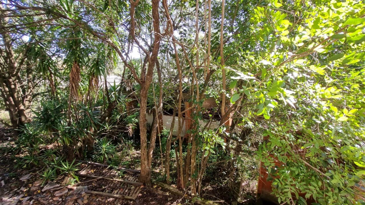 Foto 34 de 38: Terreno em leilão em Novo Hamburgo - RS, bairro Roselândia — TERRENO DE 7.341,87m² FRENTE PARA A BR 116 EM NOVO HAMBURGO/RS
