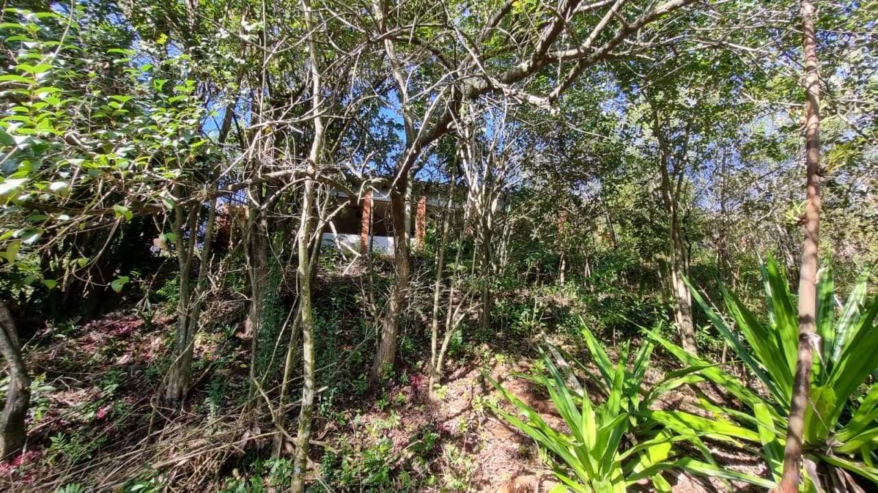 Foto 15 de 38: Terreno em leilão em Novo Hamburgo - RS, bairro Roselândia — TERRENO DE 7.341,87m² FRENTE PARA A BR 116 EM NOVO HAMBURGO/RS
