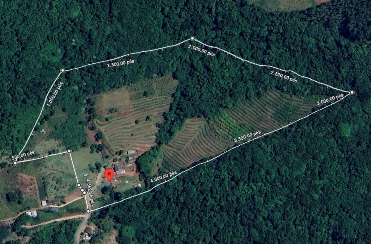 Foto 2 de 4: Imóvel em leilão em Feliz - RS — ÁREA DE 89.400,00M² (APROXIMADAMENTE 9 HECATRES) DENTRO DE UMA ÁREA MAIOR DE 226.400,00M² COM BENFEITORIAS NO VALE HERMES EM FELZ/RS