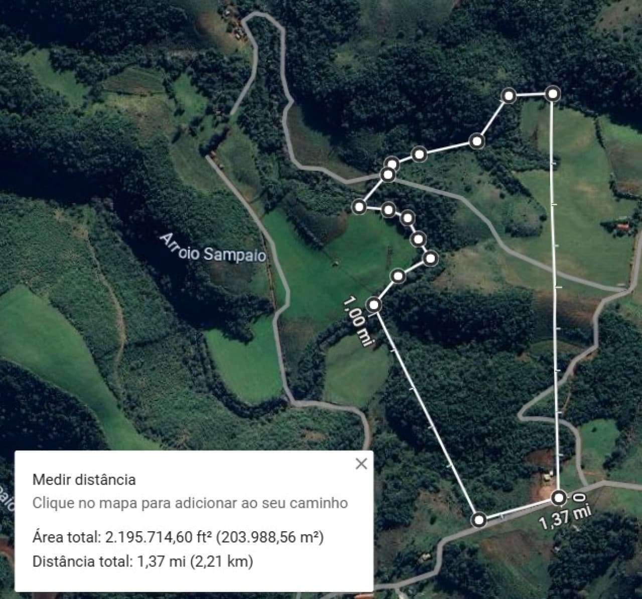 Foto 3 de 6: Imóvel em leilão em Jari - RS — ÁREA DE 20HA LOCALIZADA NO RINCÃO DOS GOMES EM JARI/RS